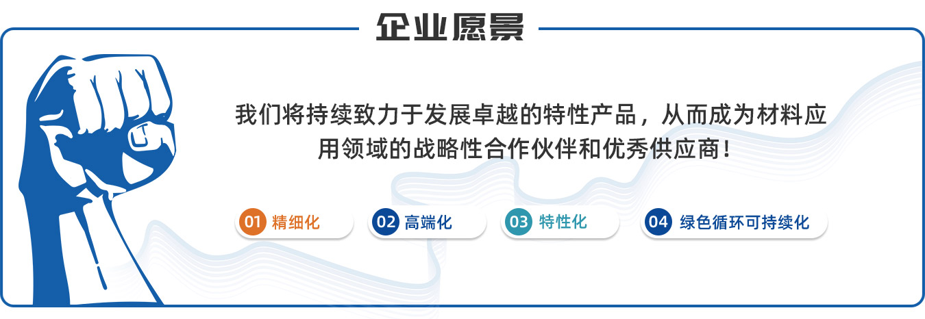 企业愿景.jpg
